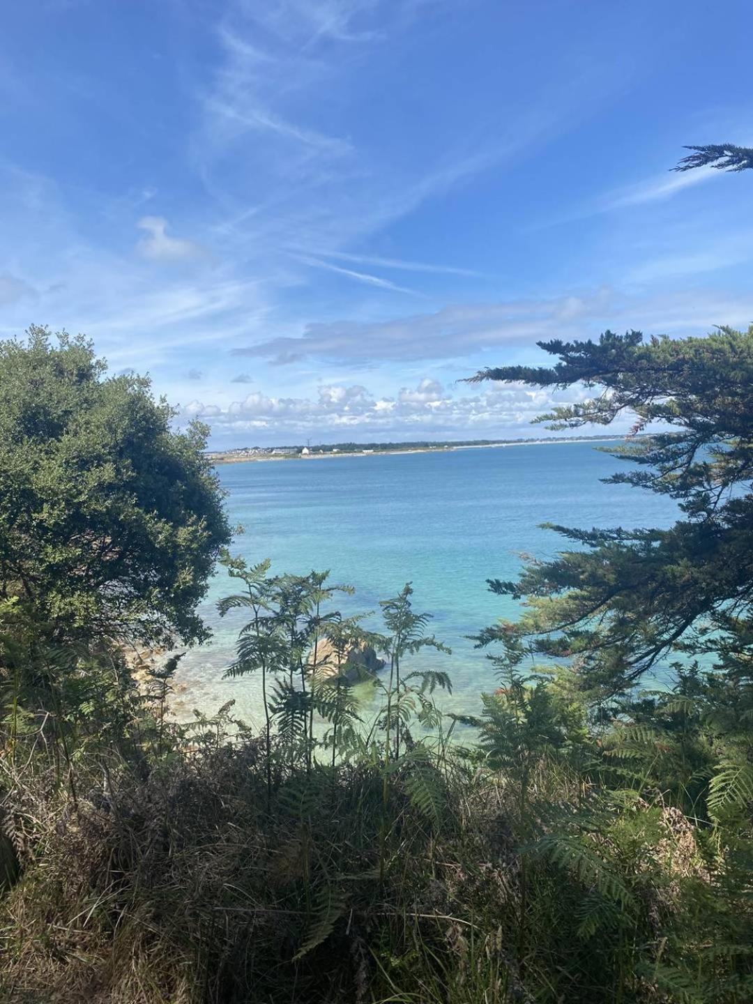 Confortable Studio, Wifi, Parking, Proche Plage 卡纳克 外观 照片